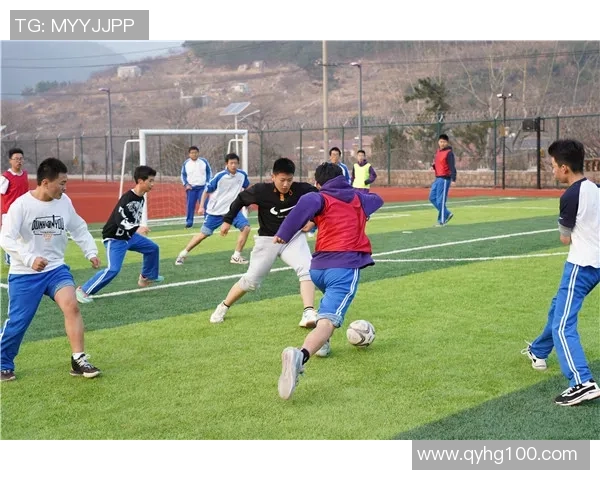 足球智慧树下的成长之路探寻与启迪的多维视角